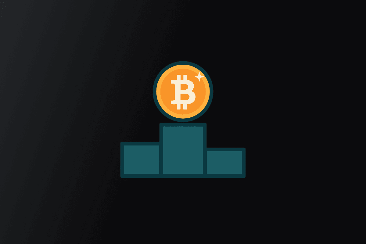 Bitcoin vs Other Cryptocurrencies: a Monetary Analysis