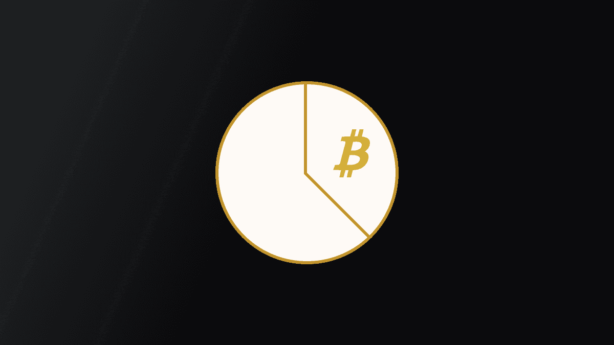 Bitcoin Investment Allocation Framework