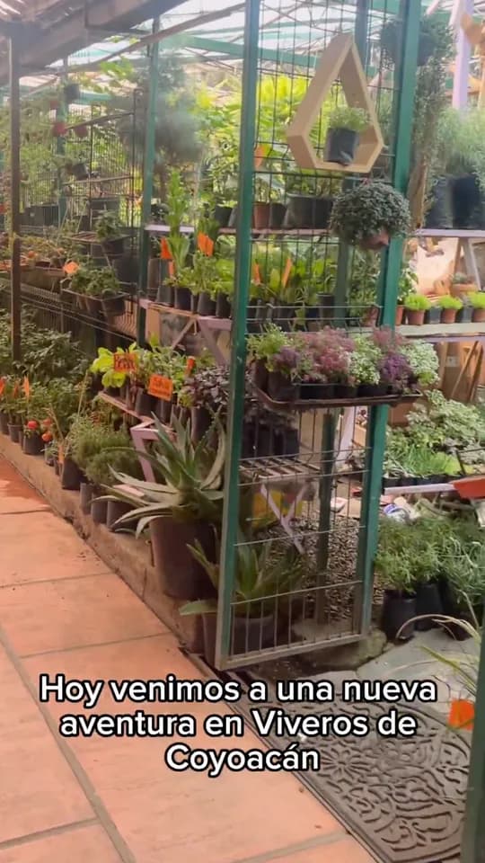 A nursery aisle full of potted plants, captioned Today we're on a new adventure at Viveros de Coyoacán