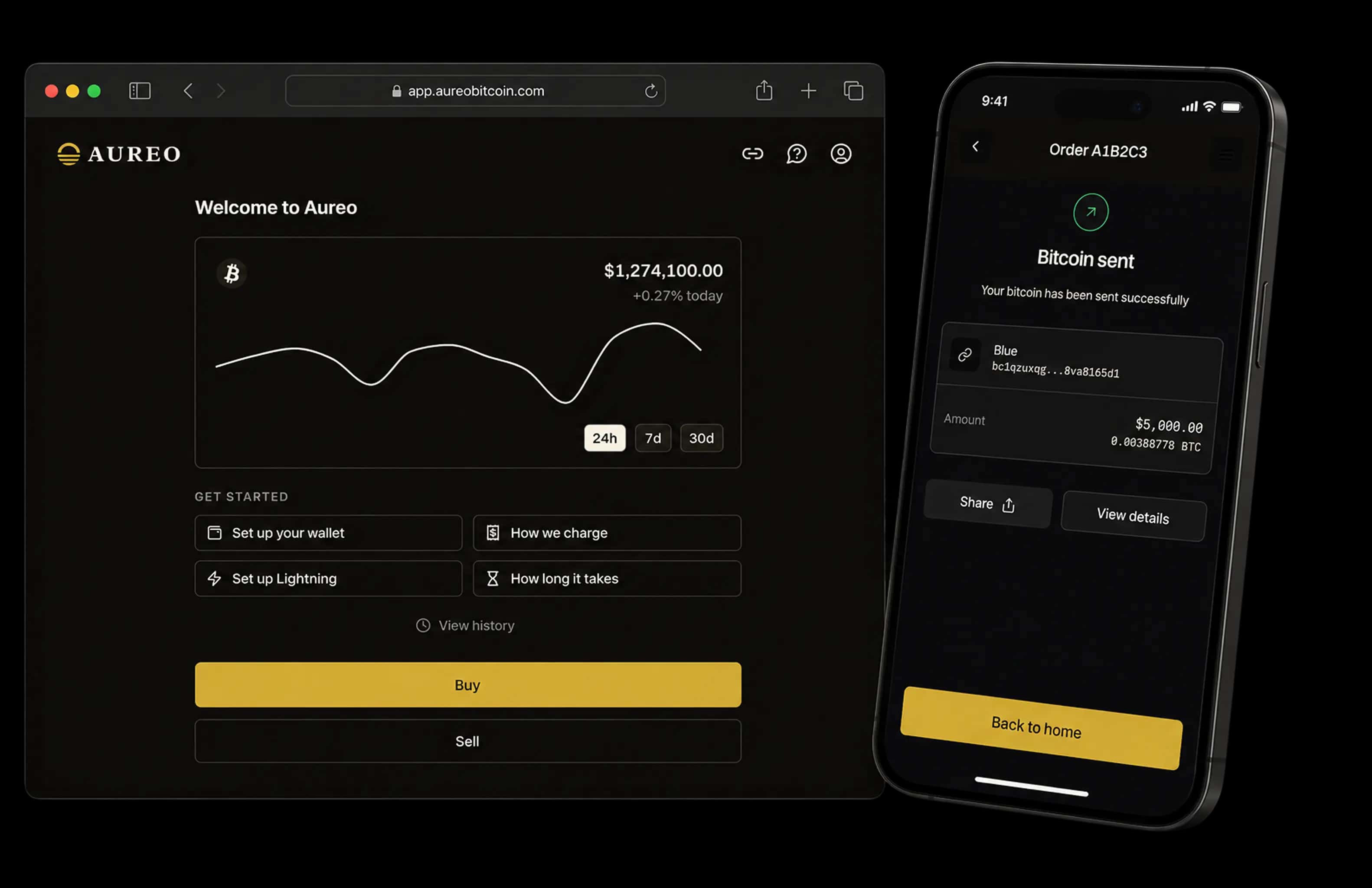 Aureo dashboard and account overview