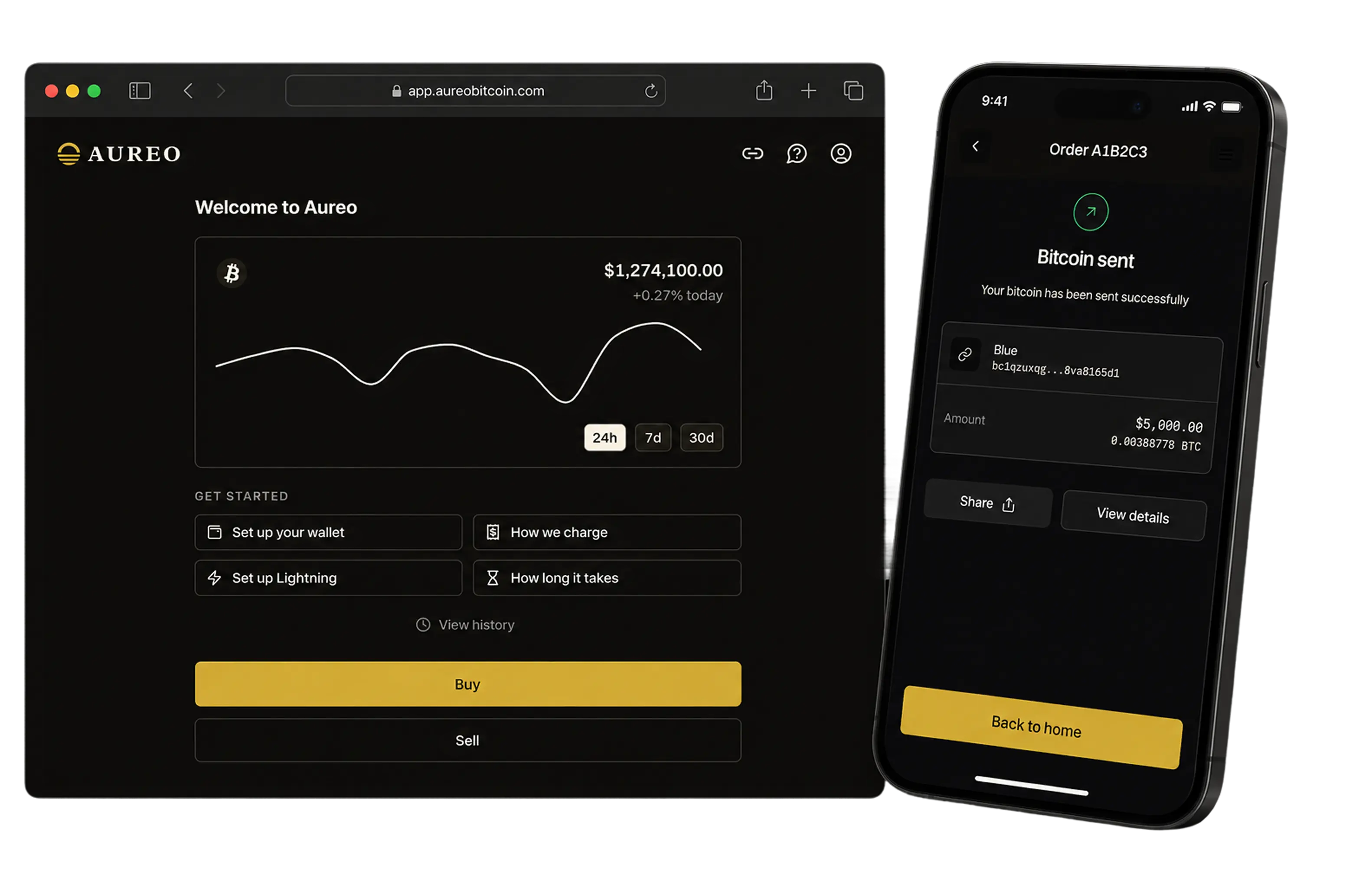 Aureo dashboard and account overview