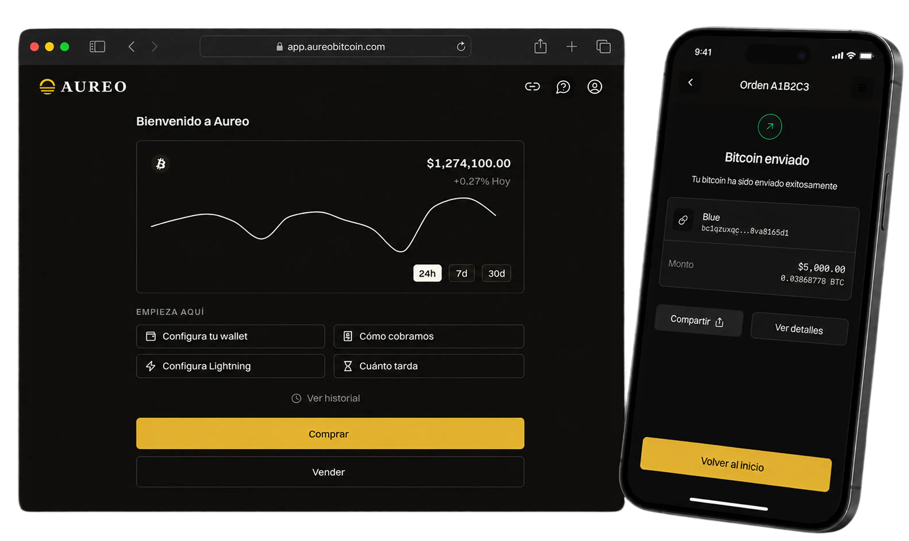 Aureo dashboard and account overview